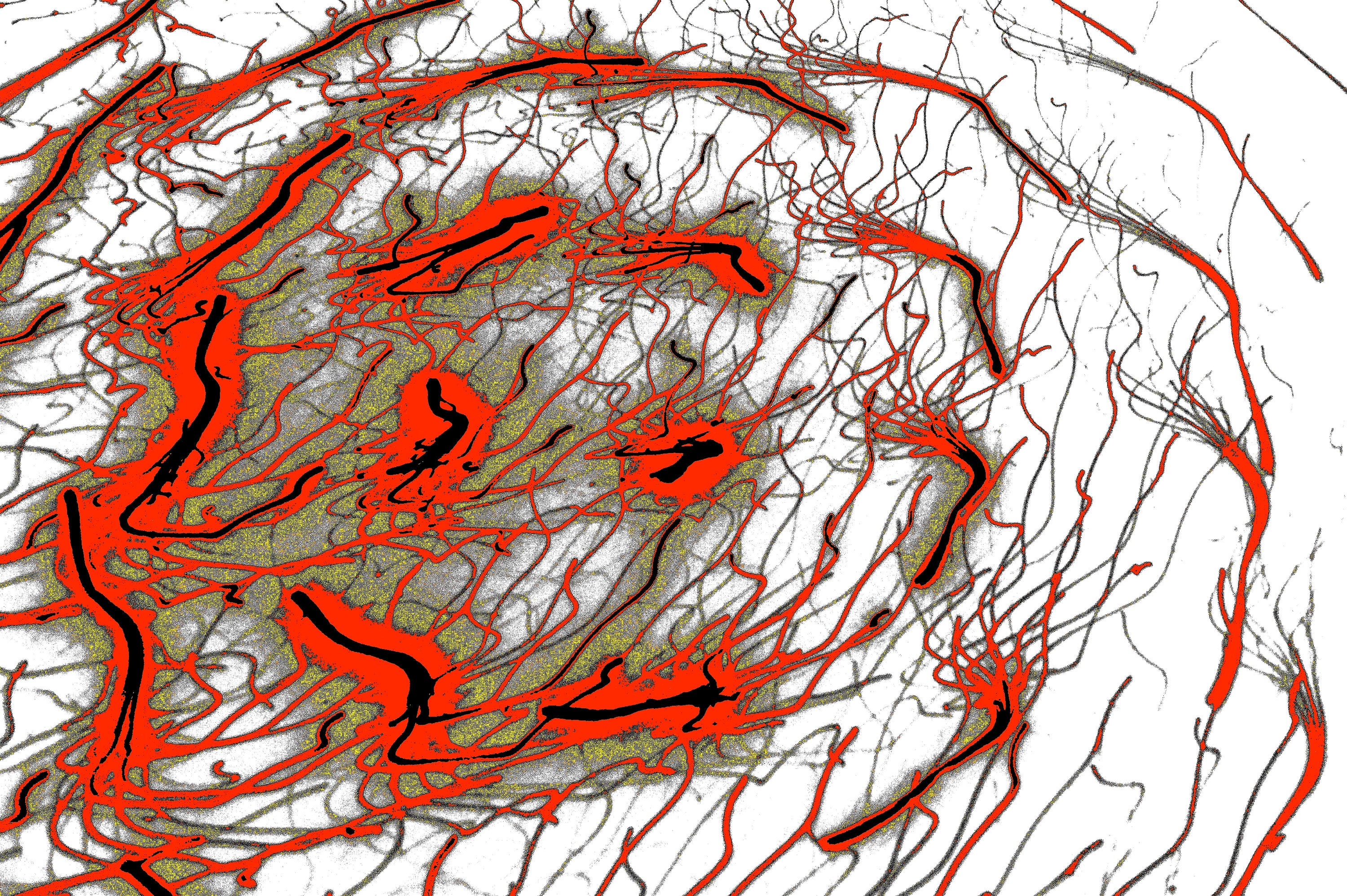 digitale wandkunst crimson vortex