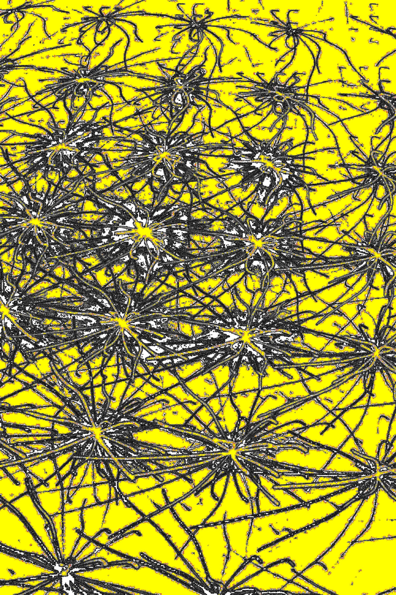 YELLOW NEURONS — Digitaler Kunstprint