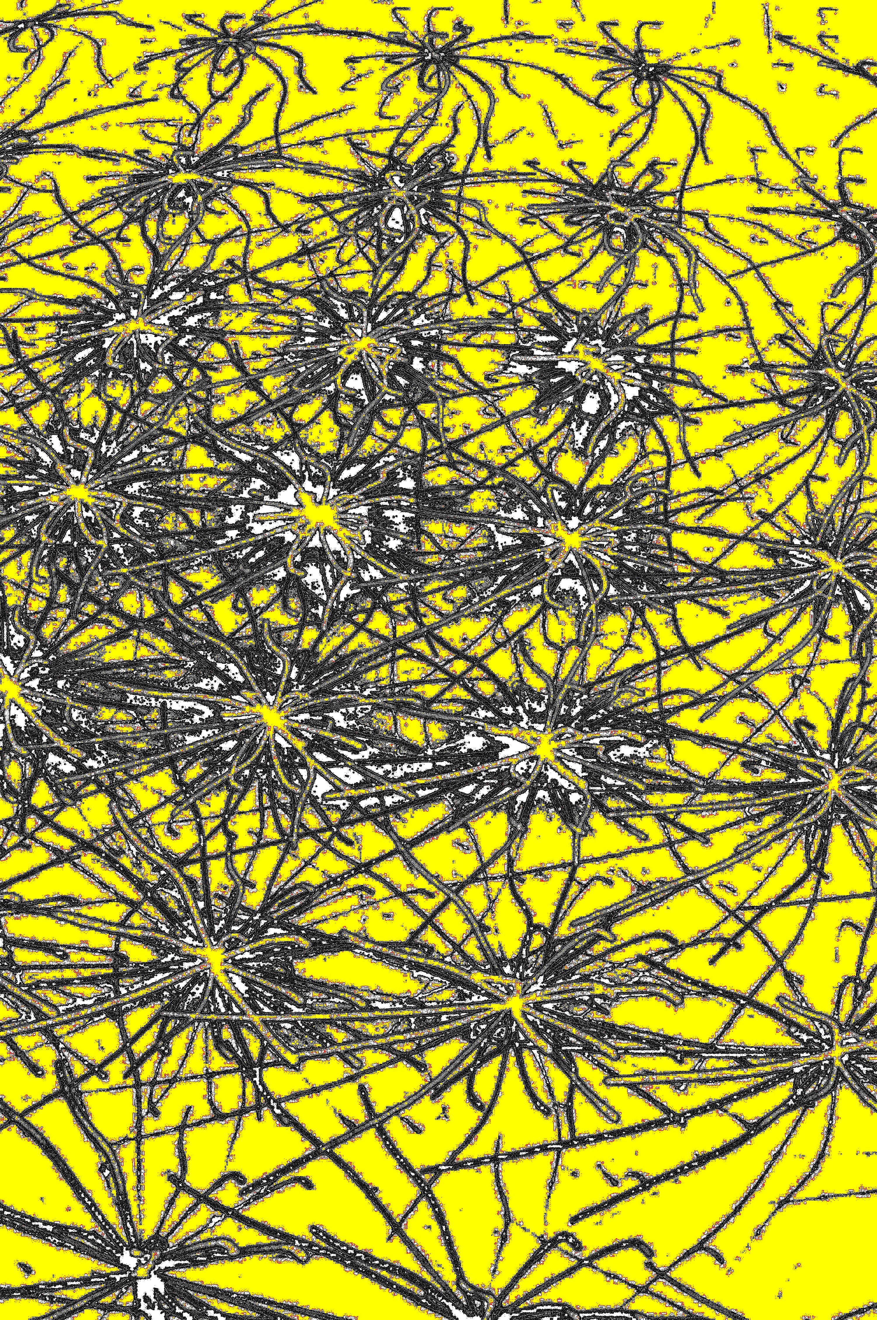 YELLOW NEURONS — Digitaler Kunstprint