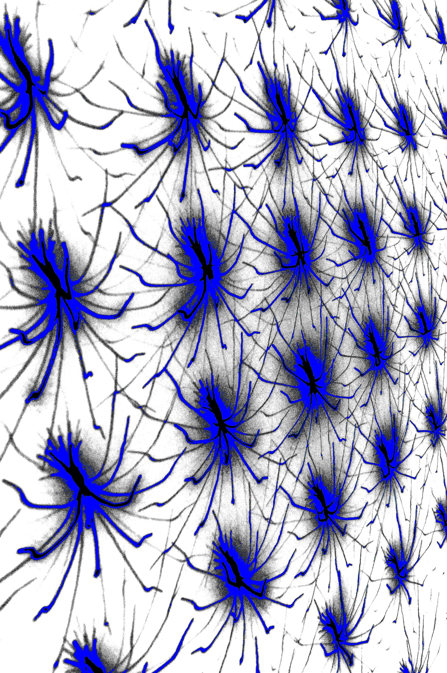 NEURONALES BLAU — Premium Kunstprint