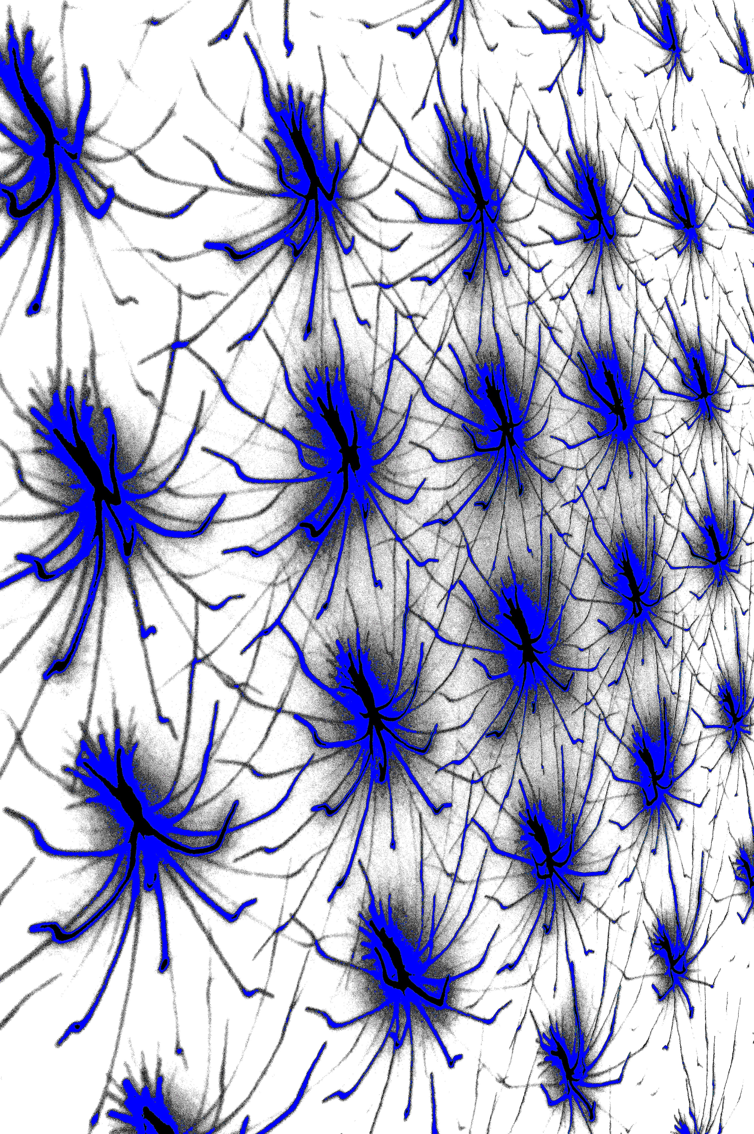 NEURONALES BLAU — Premium Kunstprint