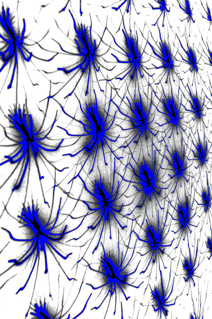 NEURONALES BLAU — Premium Kunstprint