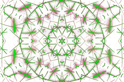THORN BLOOM MANDALA — Premium Digitaler