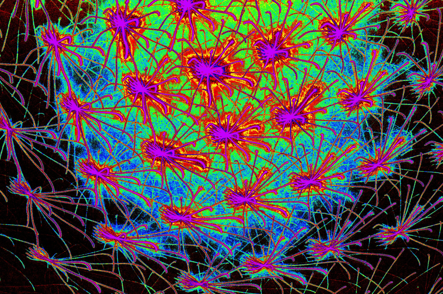 NETZWERK FRACTAL ENERGIE — Premium Kunstprint