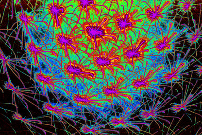 NETZWERK FRACTAL ENERGIE — Premium Kunstprint