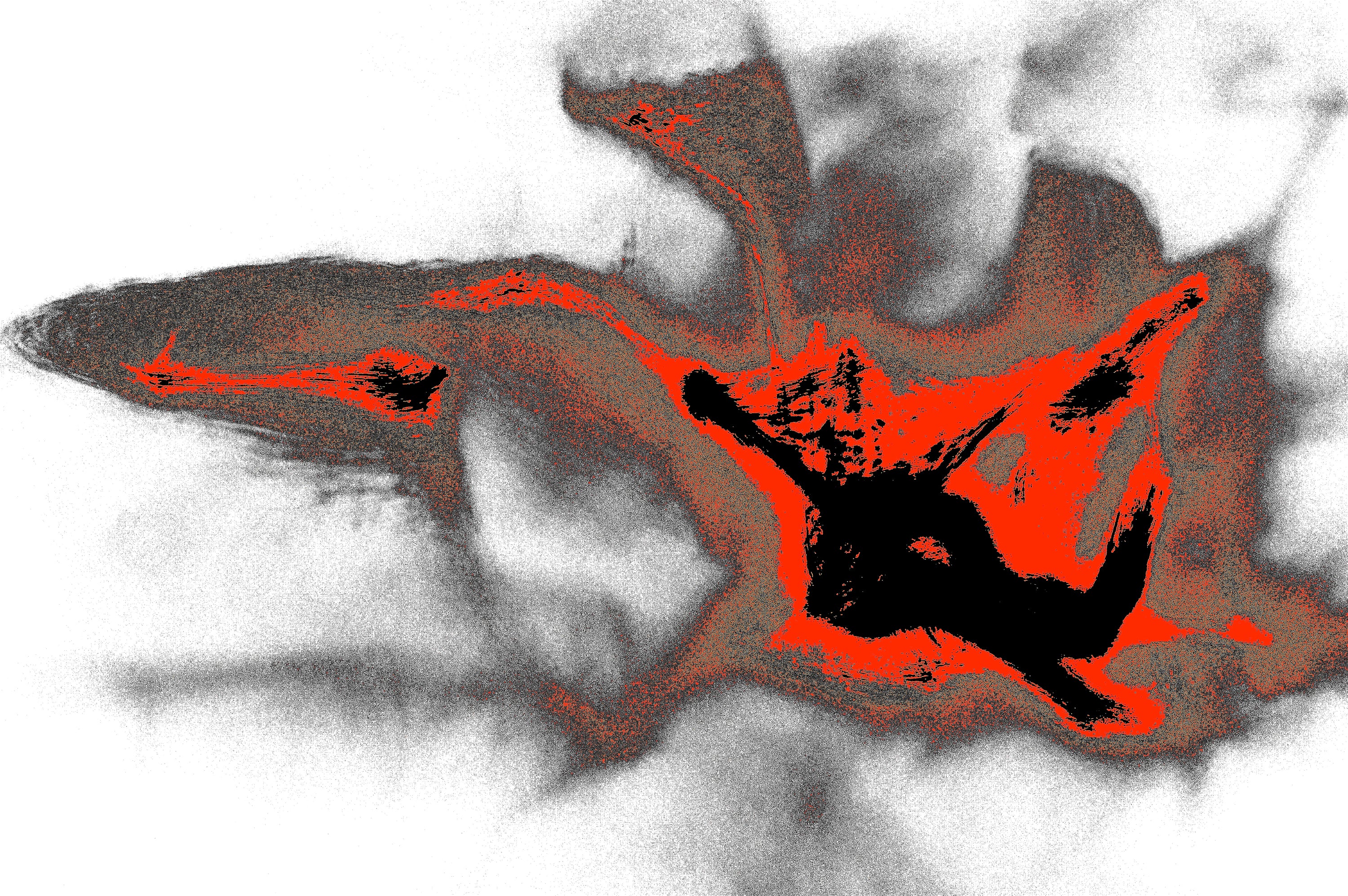 SHADOW FALL — Digitale Kunst zum Download