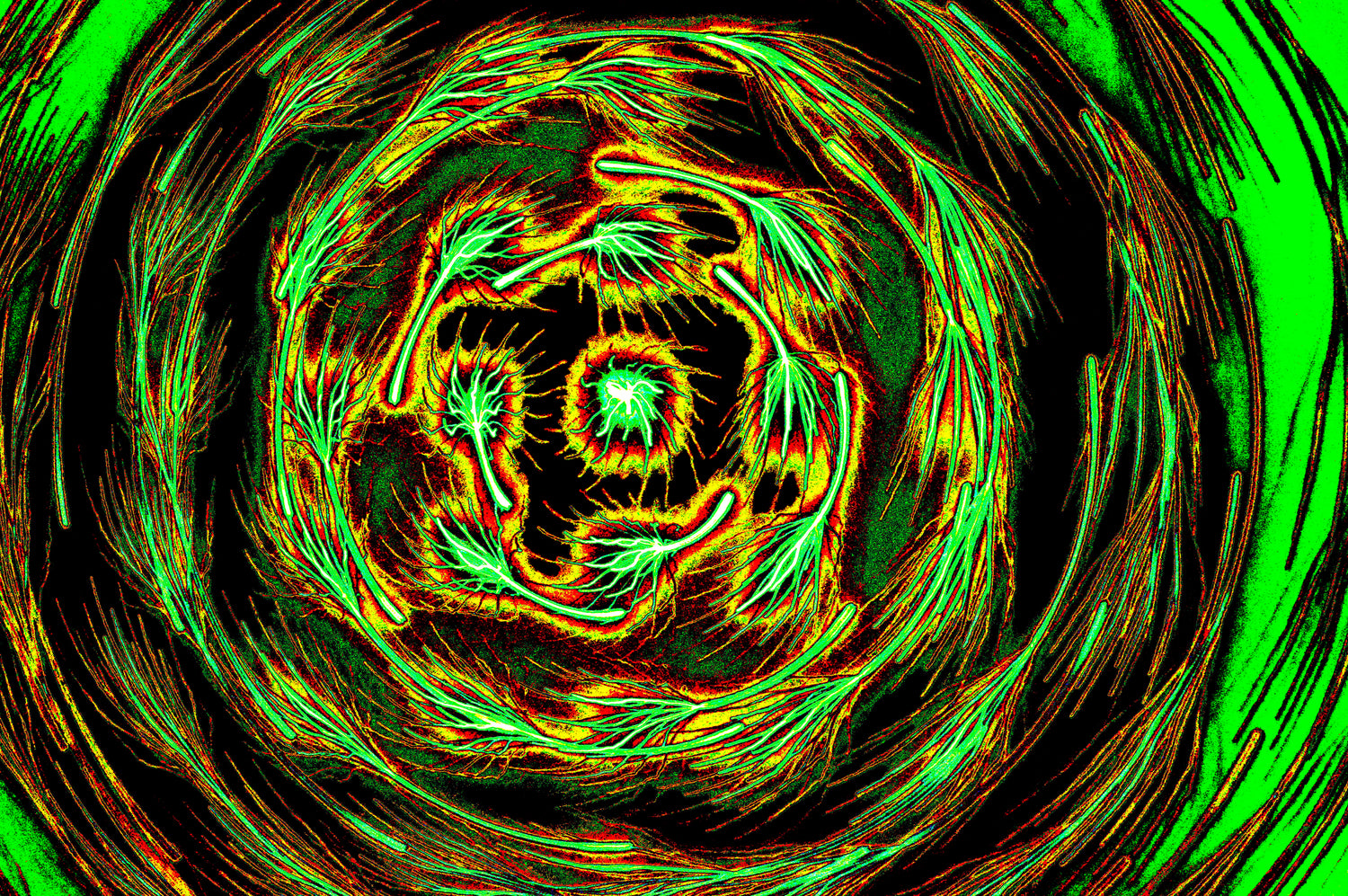 NEON WIRBEL — Premium Kunstprint