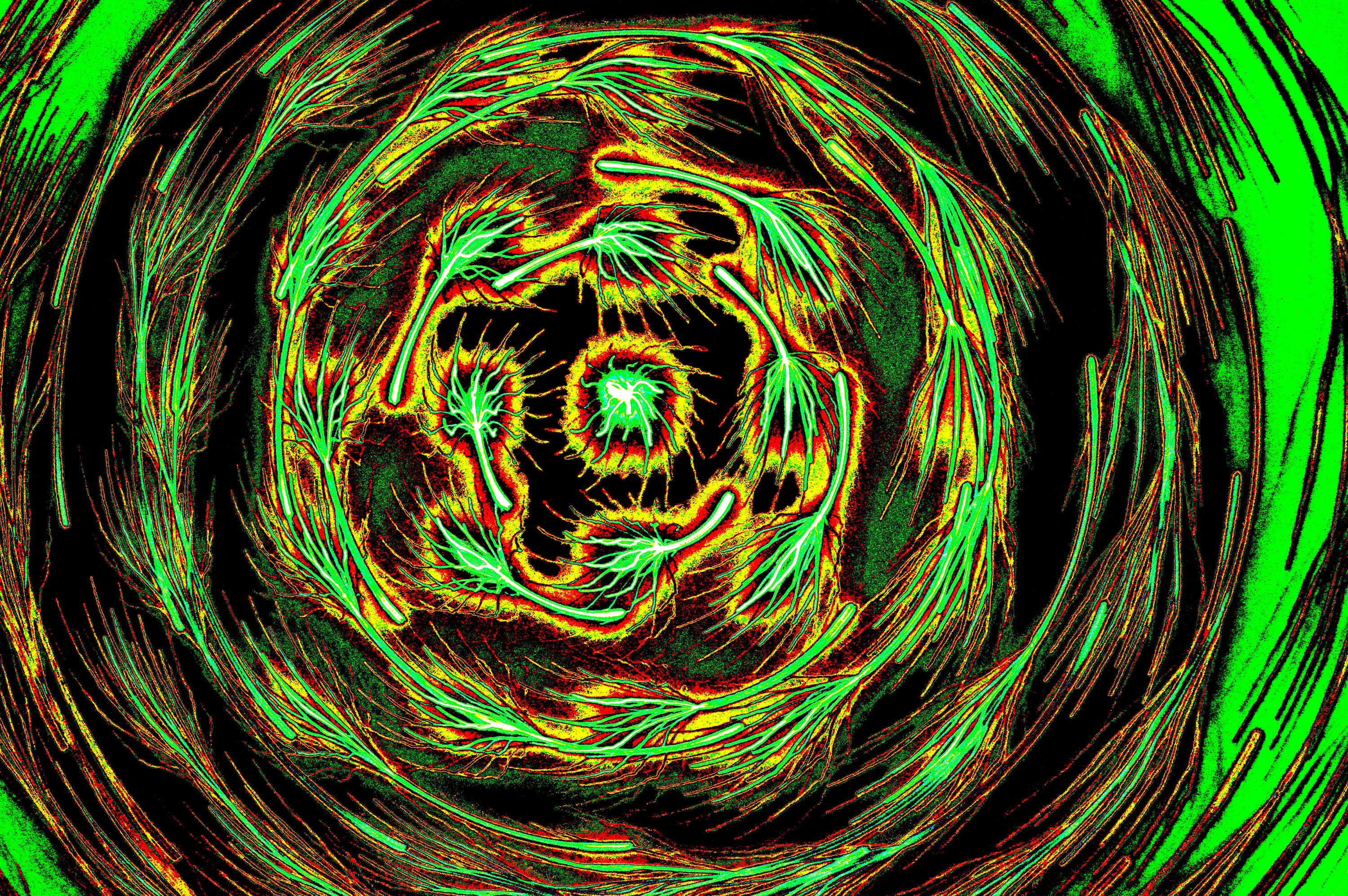 NEON WIRBEL — Premium Kunstprint