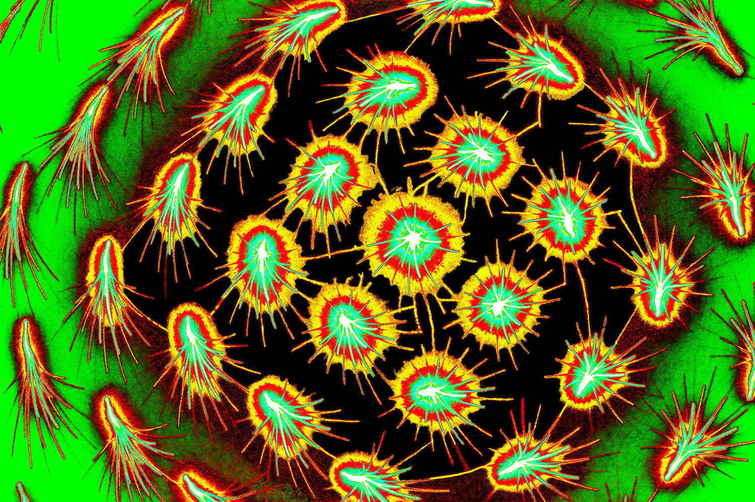 BIOLUMINESZENTE SPORE — Premium Digitaler Download