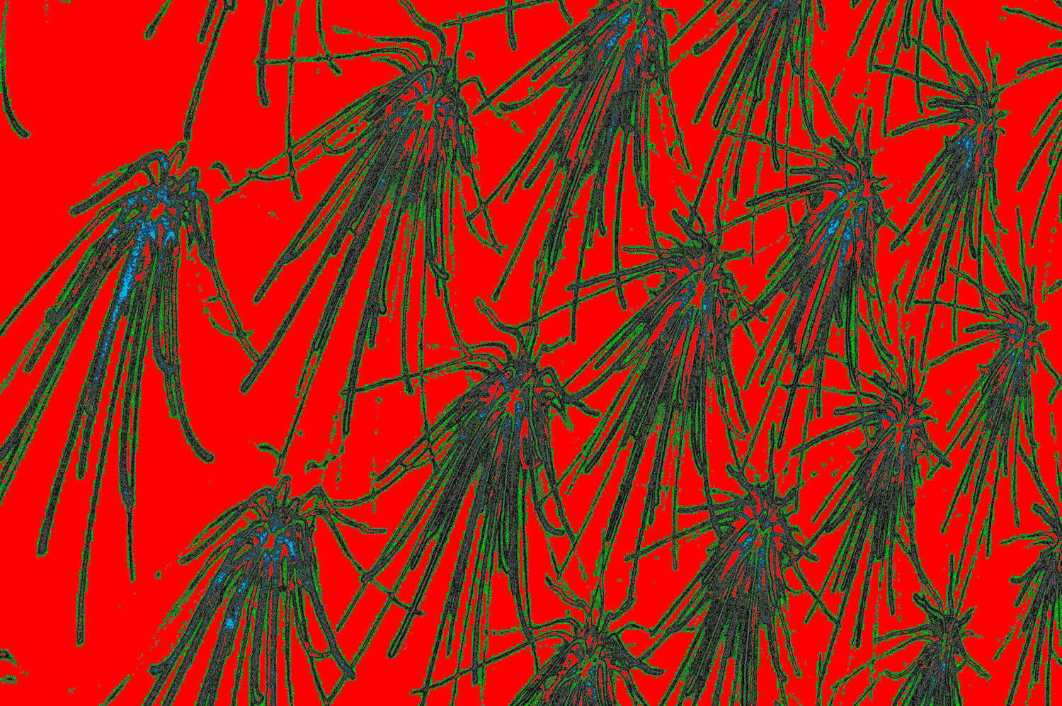 ABSTRAKTE INSEKTENBEWEGUNG — Premium Kunstprint