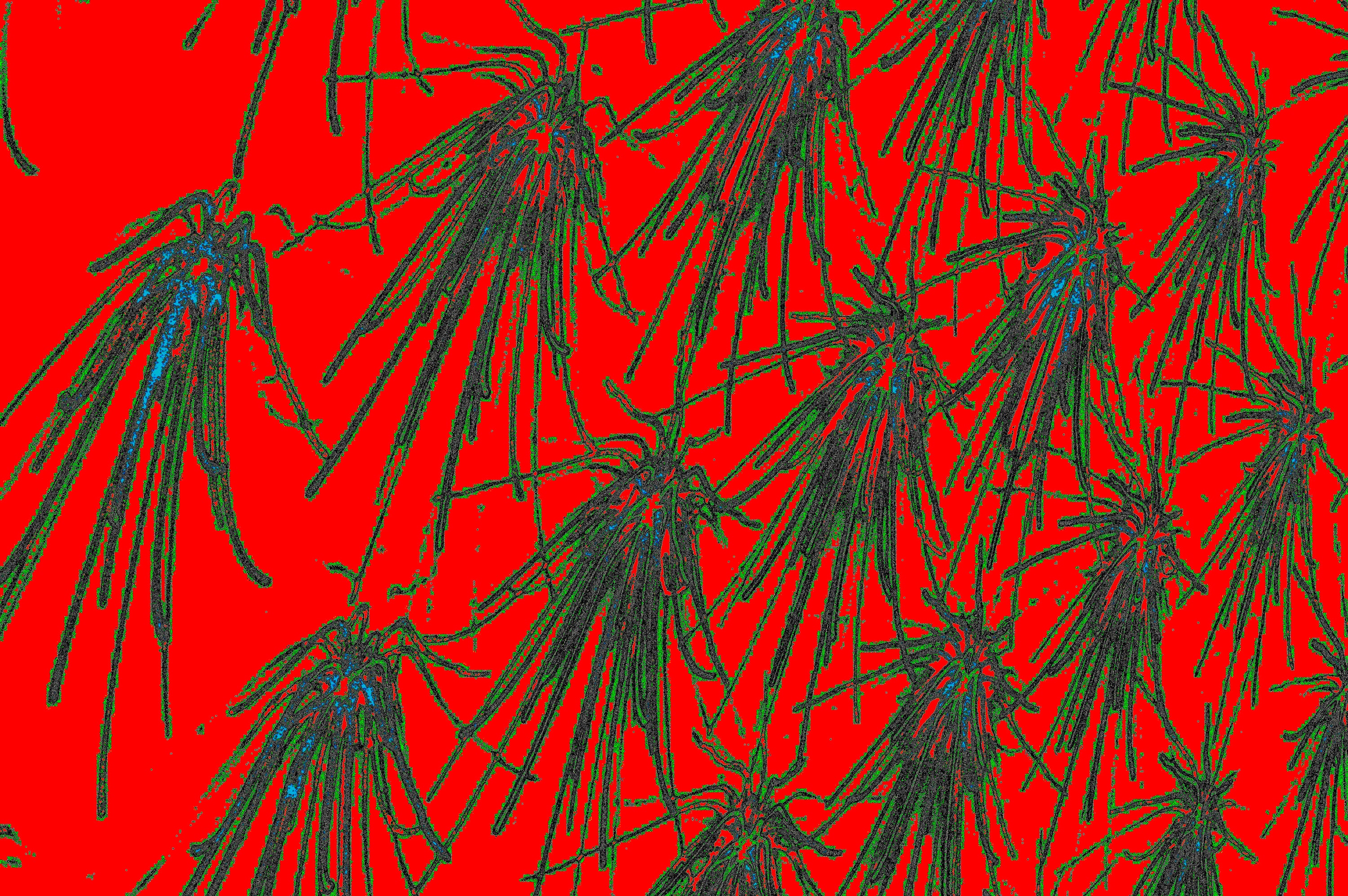 ABSTRAKTE INSEKTENBEWEGUNG — Premium Kunstprint