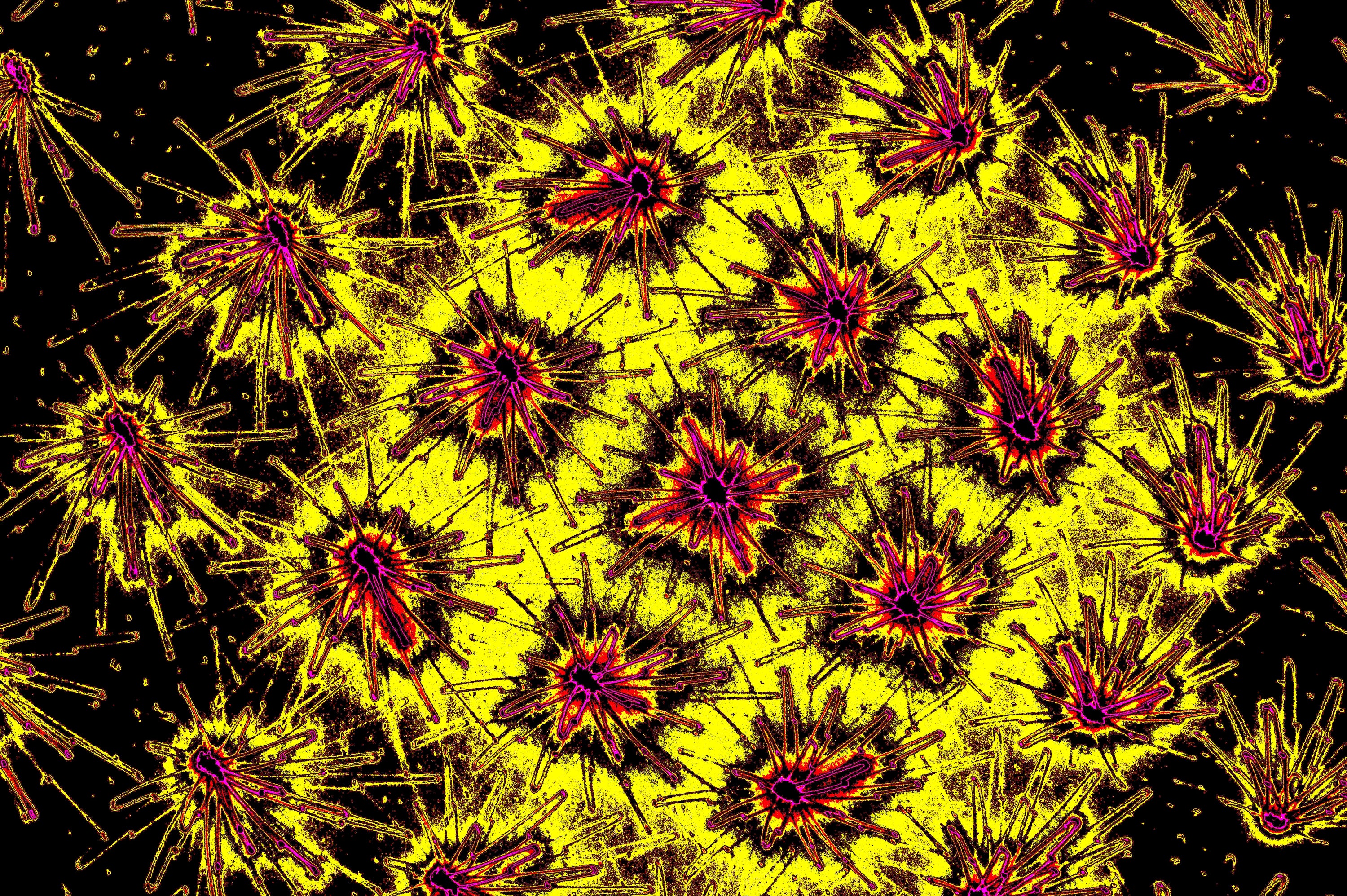 KOSMISCHE MIKRO KOLONIE — Premium Kunstprint
