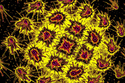 KOSMISCHE MIKRO KOLONIE — Premium Kunstprint