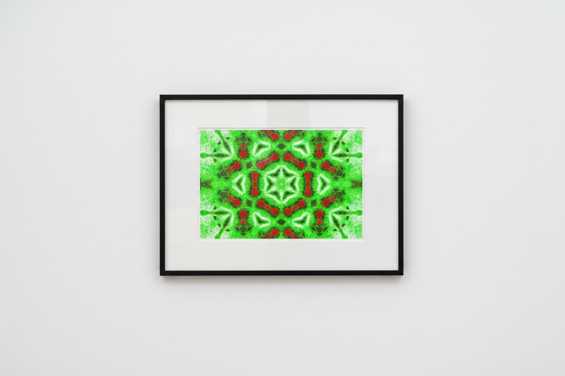 GREEN FERN STAR MANDALA — Mockup