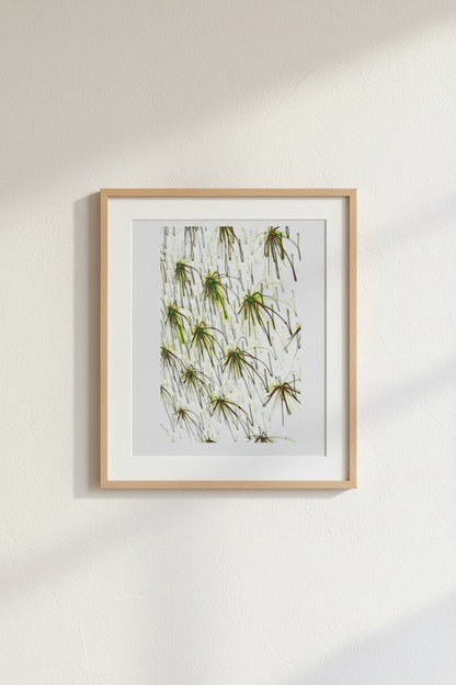 HANGING MOSS GARDEN — Premium Digitaler Download