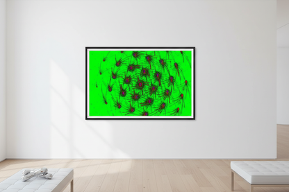 HYPNOSPINNEN — Weiße Galeriewand