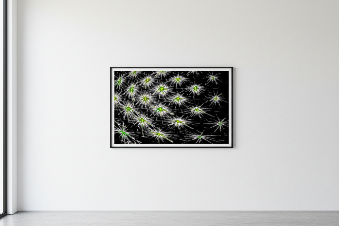 digitale Kunst DARK SPORE