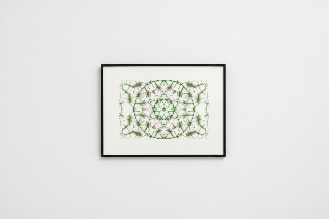 THORN BLOOM MANDALA Premium Kunstprint als gerahmtes Poster an weißer Galeriewand mit cleanem Licht
