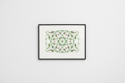 THORN BLOOM MANDALA Premium Kunstprint als gerahmtes Poster an weißer Galeriewand mit cleanem Licht
