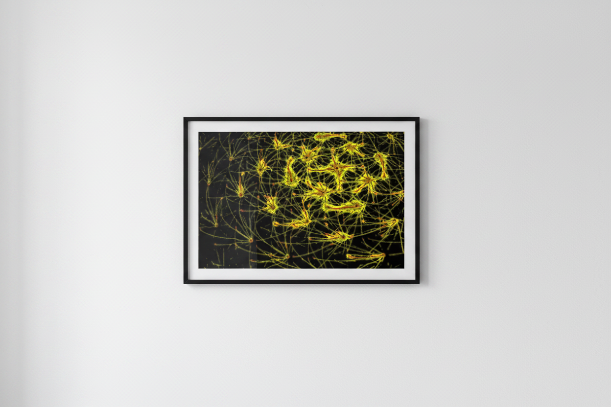 digitale kunst neon poster